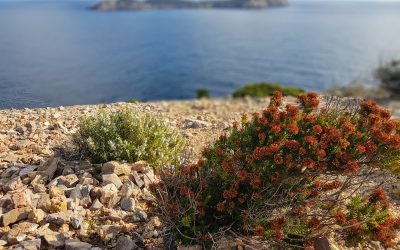 Een nieuw jaar vol nieuwe kansen